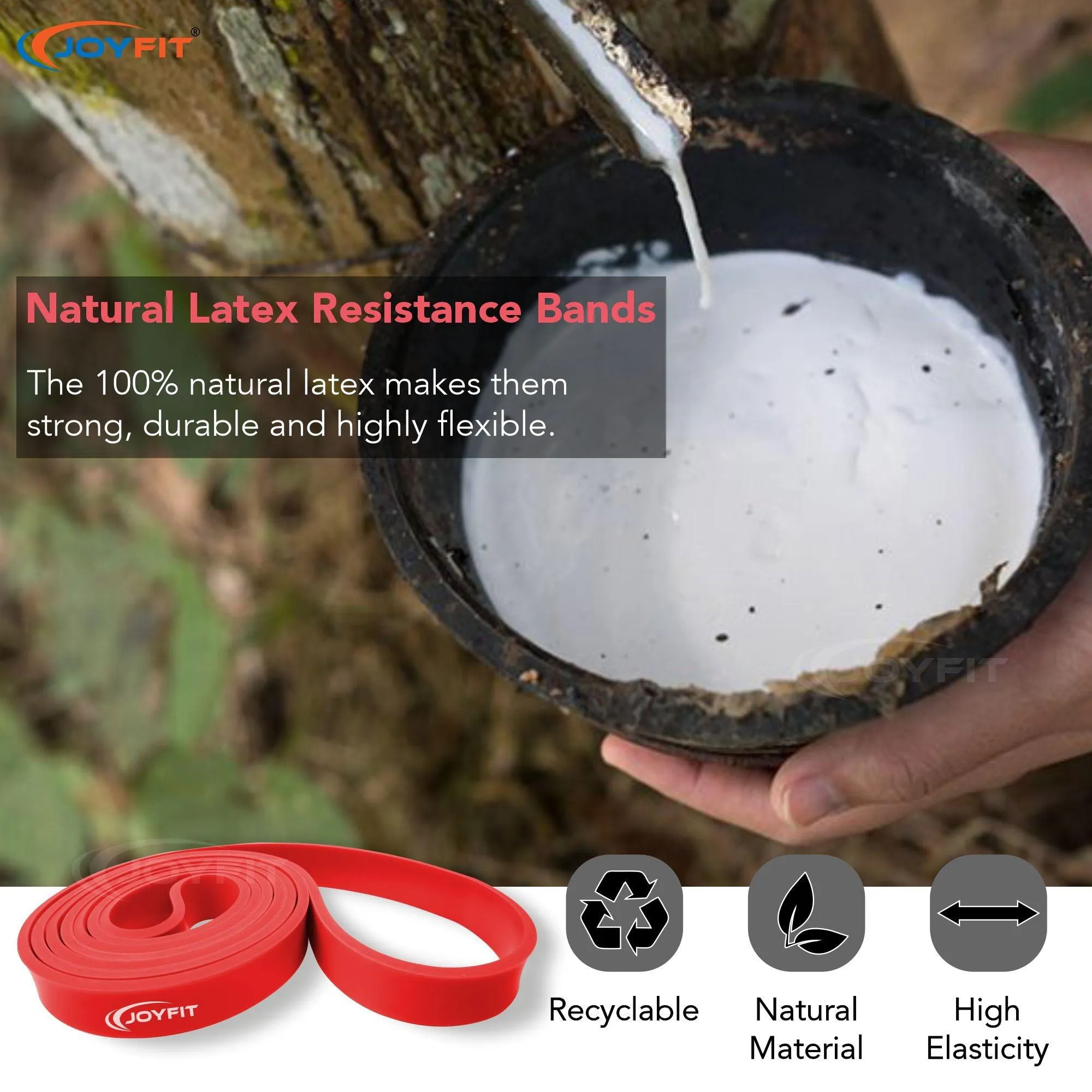 Premium Grade Resistance Loop Bands