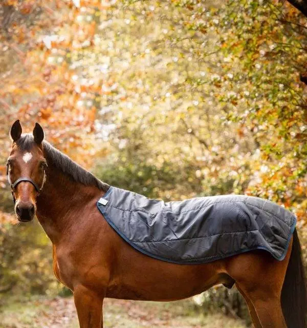 Rambo Autumn Series Turnout