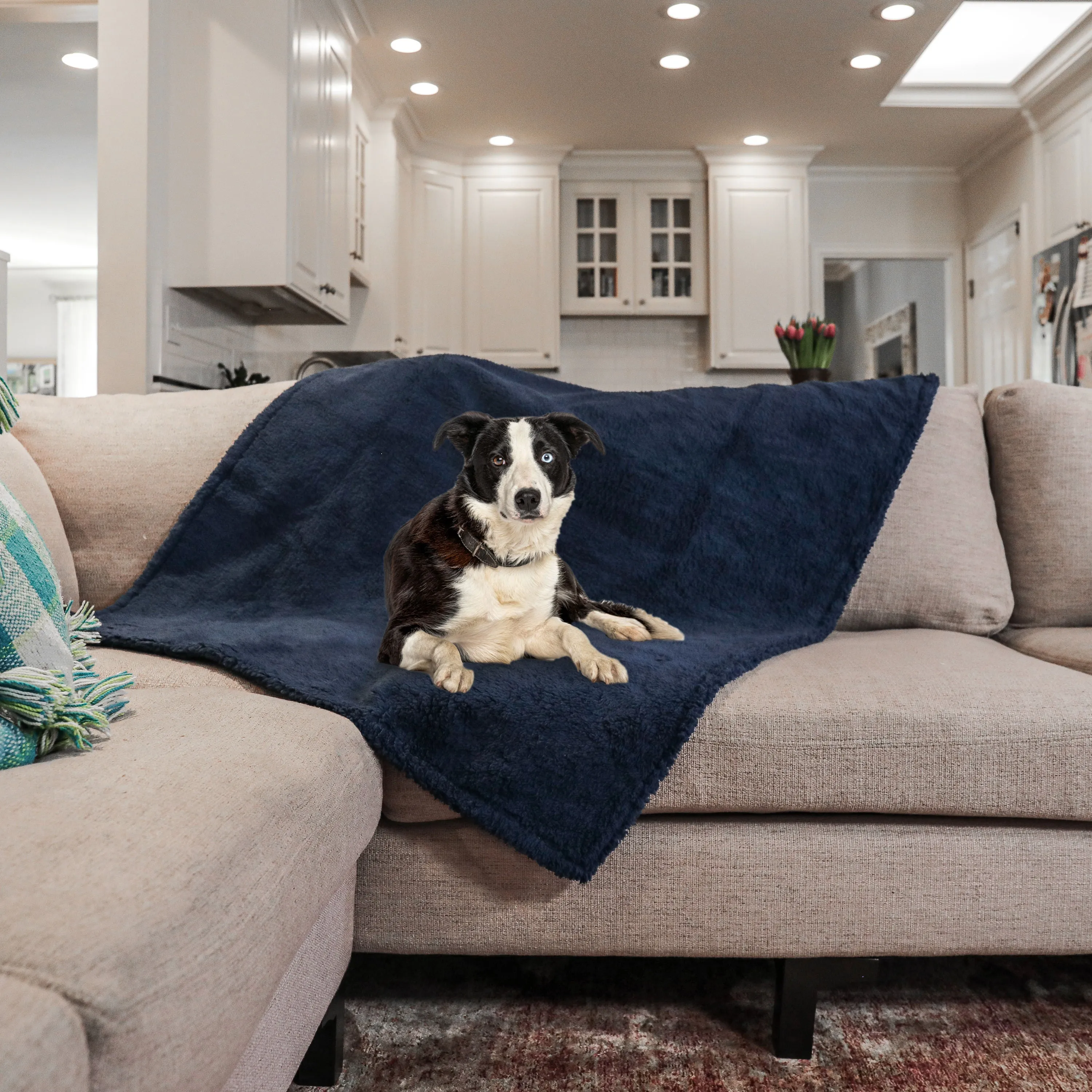 XL Waterproof Pet Blanket, Blue, 56 x 73"